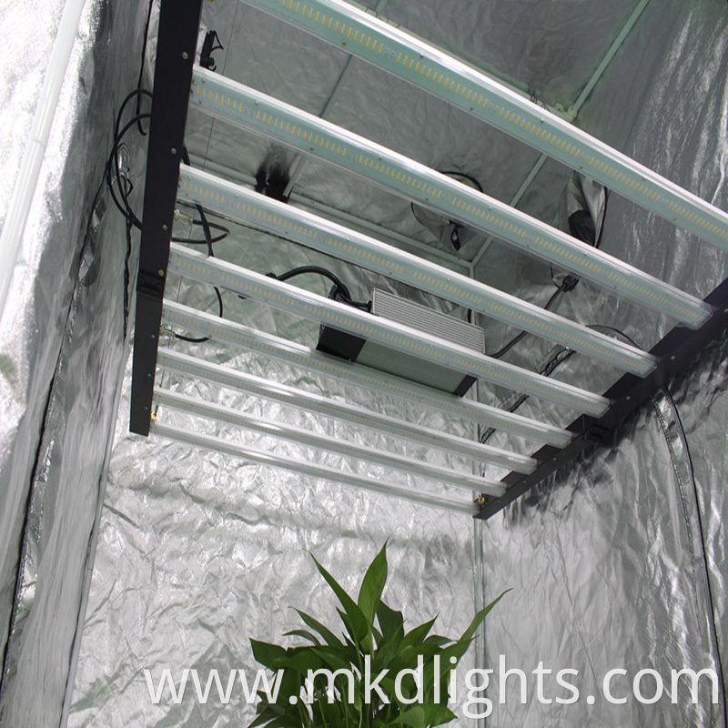 Uvb Grow Lights